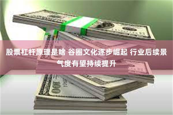 股票杠杆原理是啥 谷圈文化逐步崛起 行业后续景气度有望持续提升