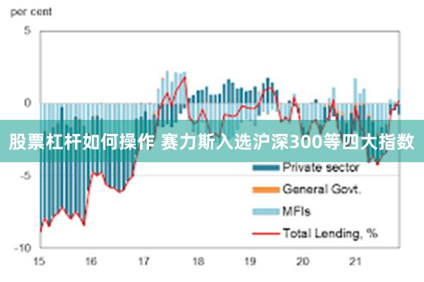 股票杠杆如何操作 赛力斯入选沪深300等四大指数