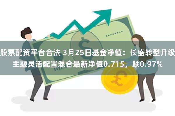 股票配资平台合法 3月25日基金净值：长盛转型升级主题灵活配置混合最新净值0.715，跌0.97%