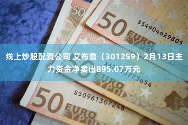 线上炒股配资公司 艾布鲁（301259）2月13日主力资金净卖出895.07万元