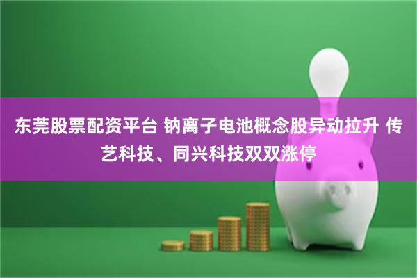 东莞股票配资平台 钠离子电池概念股异动拉升 传艺科技、同兴科技双双涨停