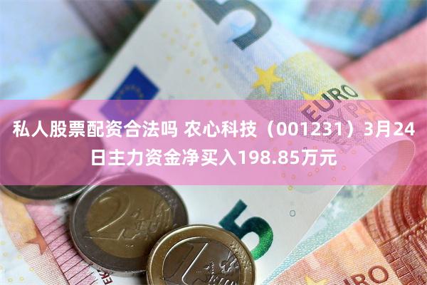 私人股票配资合法吗 农心科技（001231）3月24日主力资金净买入198.85万元