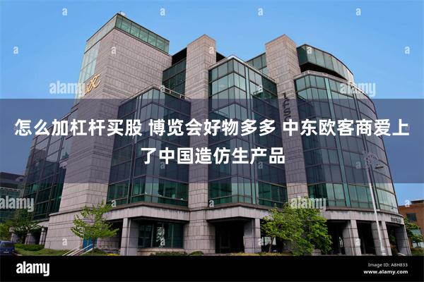 怎么加杠杆买股 博览会好物多多 中东欧客商爱上了中国造仿生产品